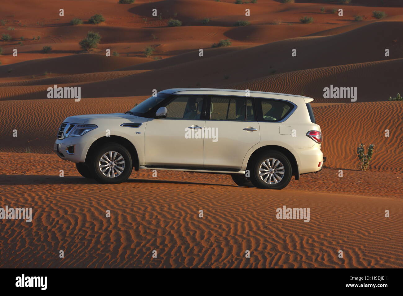 Nissan Patrol in der Wüste Abu Dhabi Emirate, Vereinigte Arabische Emirate Stockfoto