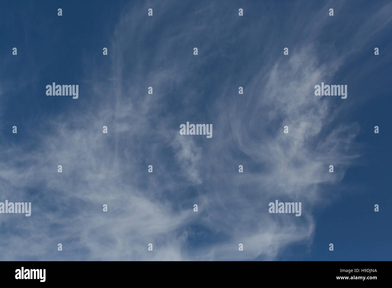 Cirrus Cloud mit blauem Himmel an windigen Tag Stockfoto