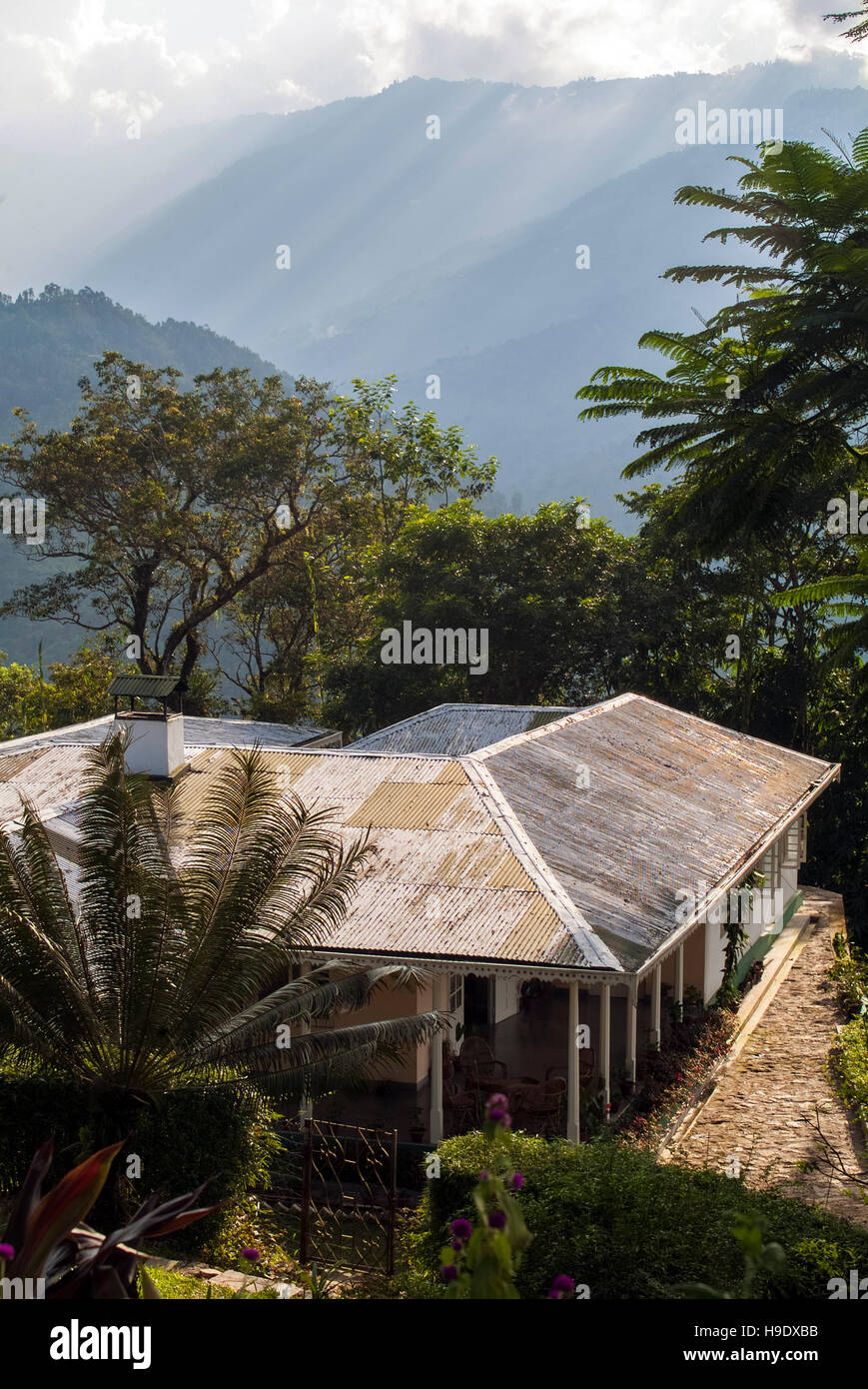 Blick über Glenburn Tea Estate, ein Rückzug auf eine Teeplantage, in der Nähe von Darjeeling, Indien. Stockfoto