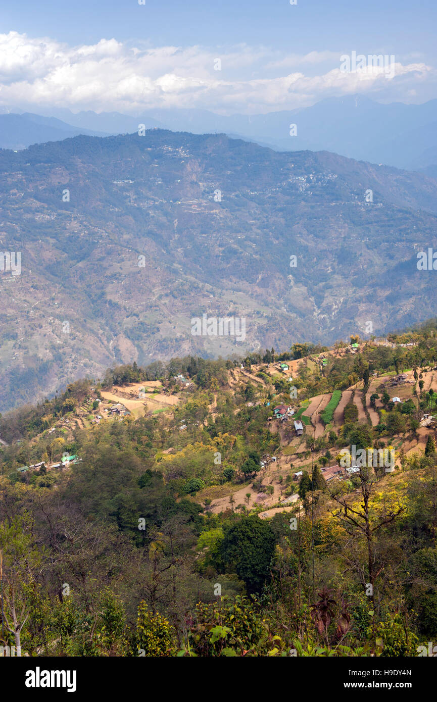 Landwirtschaftliche Nutzflächen in Sikkim, Indien. Stockfoto