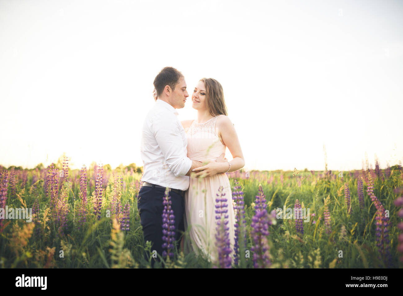 Braut und Bräutigam, Rissing beim Sonnenuntergang auf einem schönen Feld mit Blumen, romantische Ehepaar Stockfoto