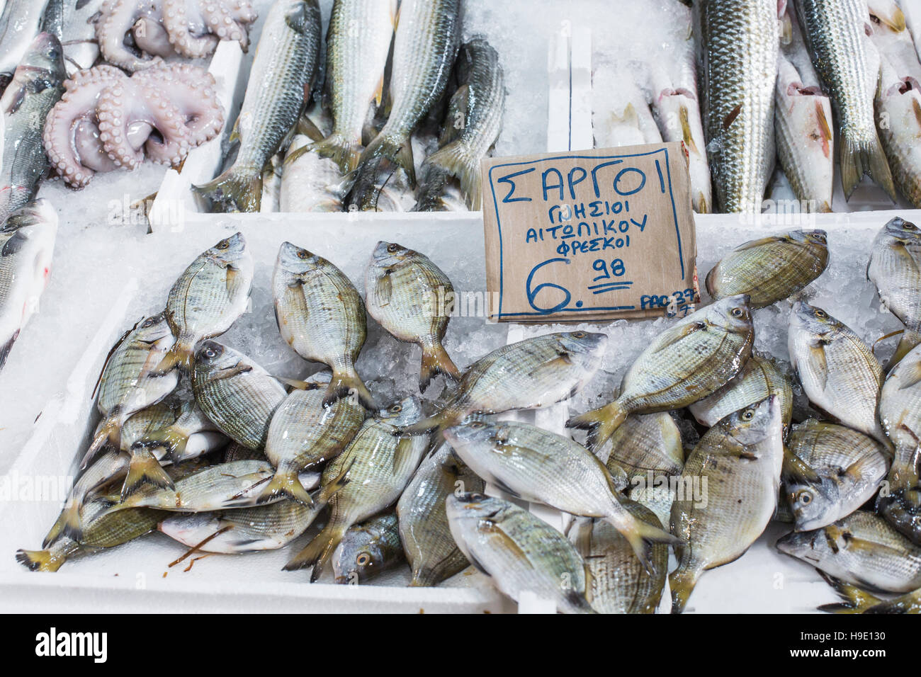 Auswahl an Fisch und Meeresfrüchten auf Griechenland Regionalmarkt. Stockfoto