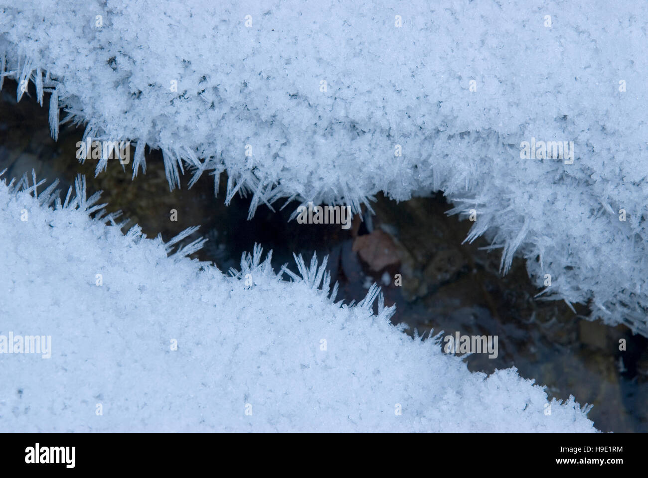 Gefrorene Stream im Nationalpark Kalkalpen, Ober-Österreich, Europa Stockfoto
