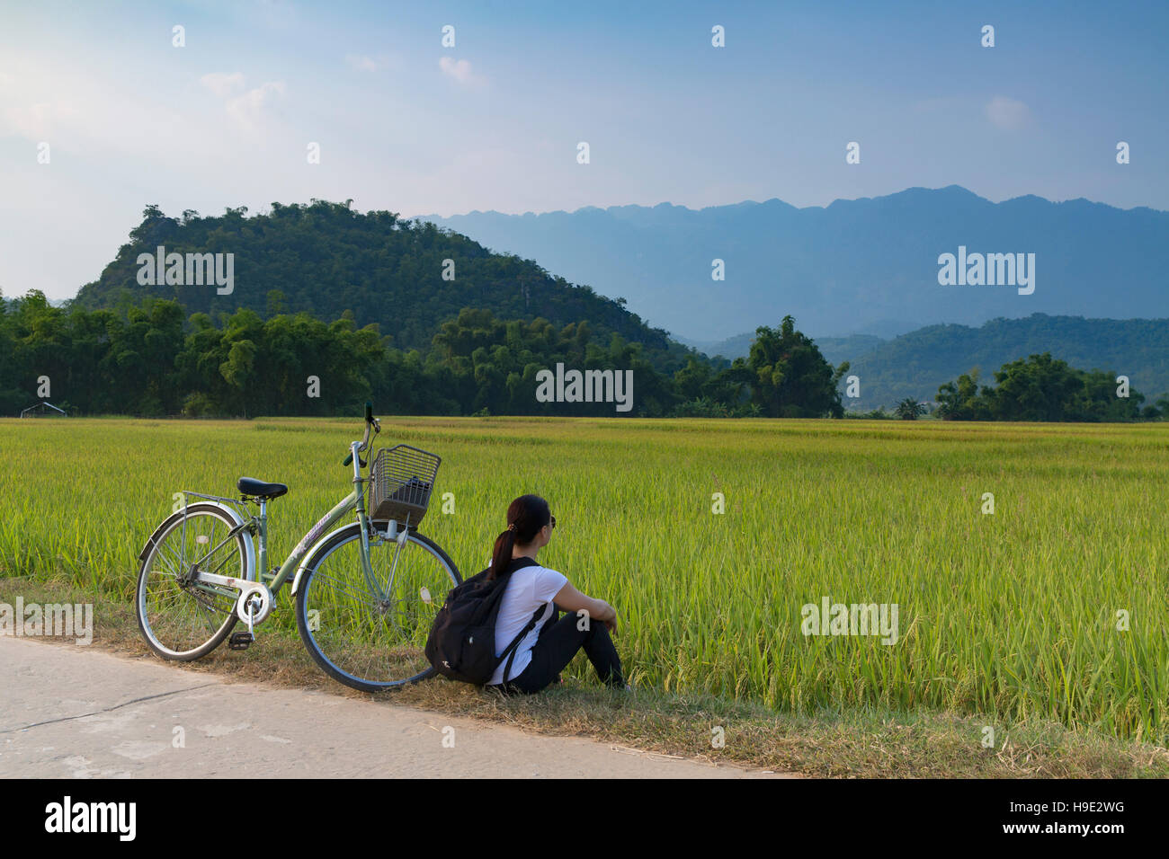 Frau mit dem Fahrrad in Reisfeldern, Mai Chau, Hoa Binh Province, Vietnam Stockfoto