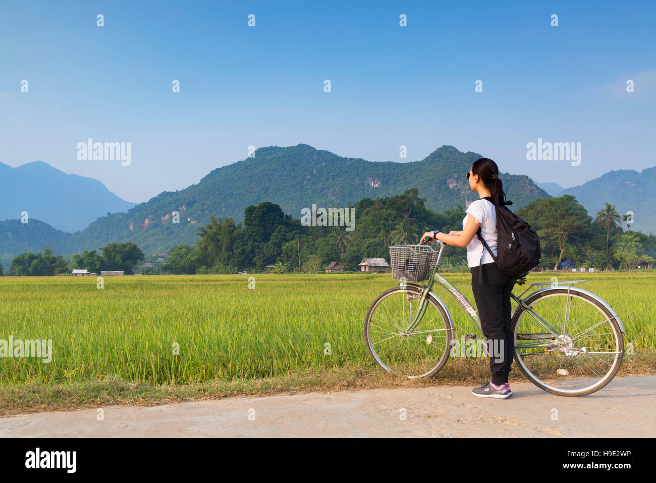 Frau mit dem Fahrrad in Reisfeldern, Mai Chau, Hoa Binh Province, Vietnam Stockfoto
