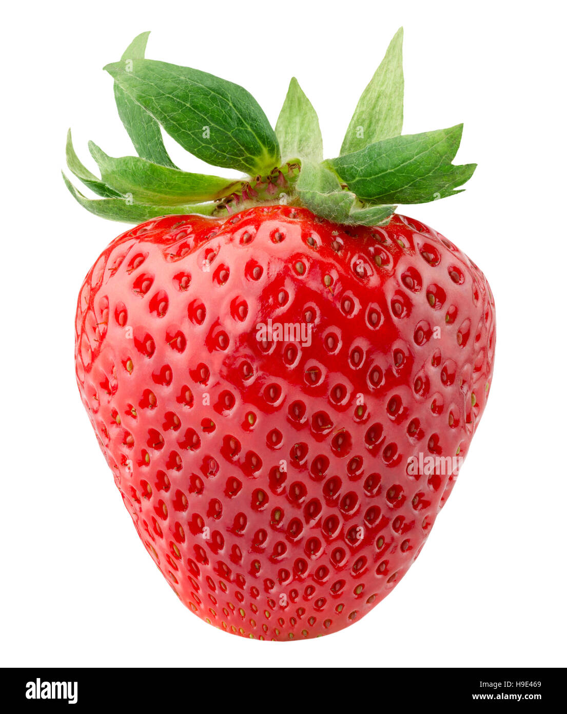 Erdbeere auf dem weißen Hintergrund isoliert. Stockfoto