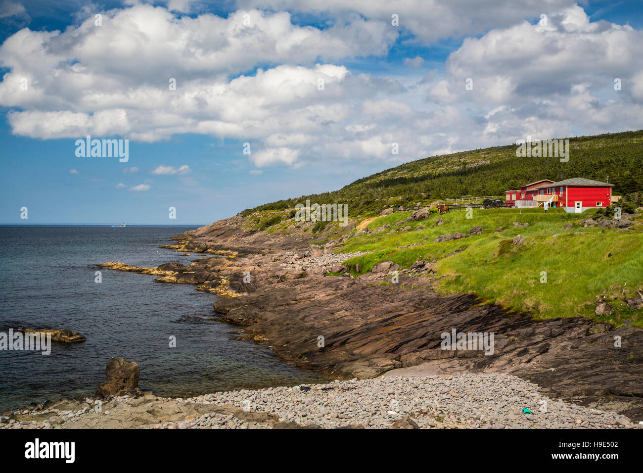 Die zerklüftete Küste in der Nähe von Cape Spear Lighthouse National Historic Site, Neufundland und Labrador, Kanada. Stockfoto