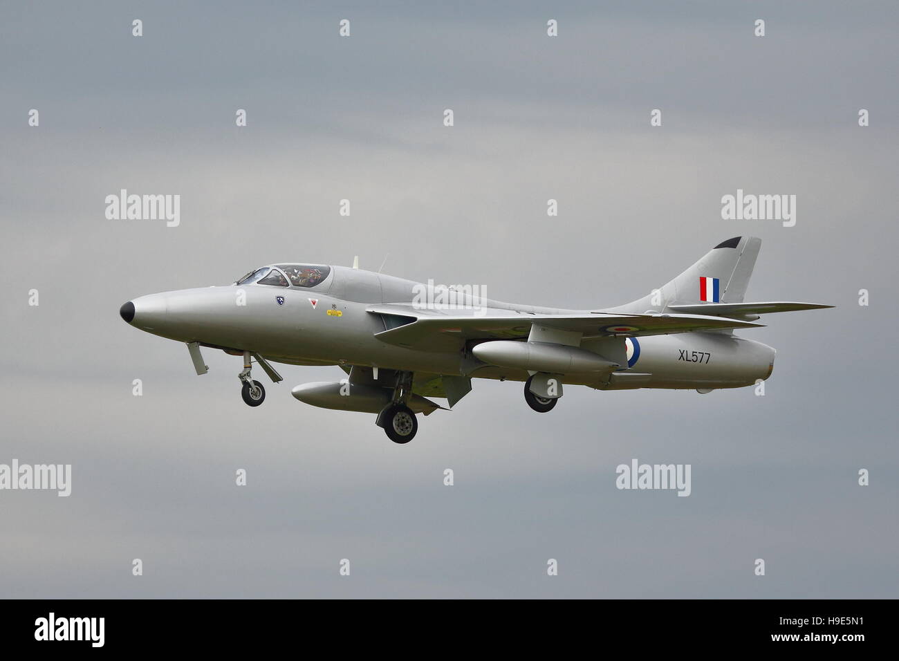 Hawker Hunter T.7 XL577 bildete ein Aussehen auf der RIAT 2014 an RAF Fairford, UK Stockfoto