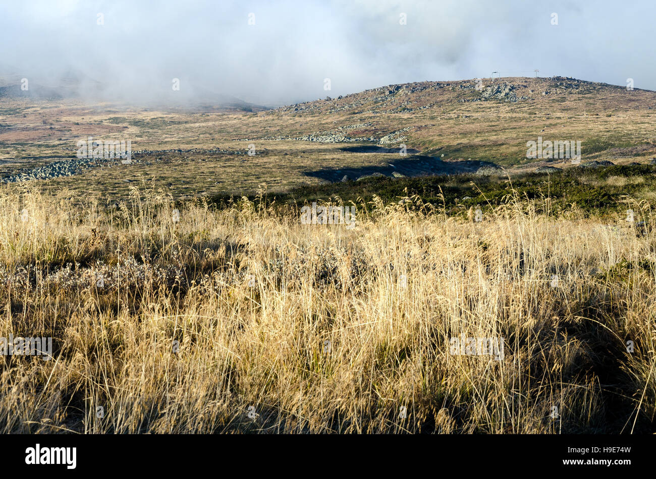 Getrocknete Grass und Wolken am Vitosha Berg, Bulgarien Stockfoto