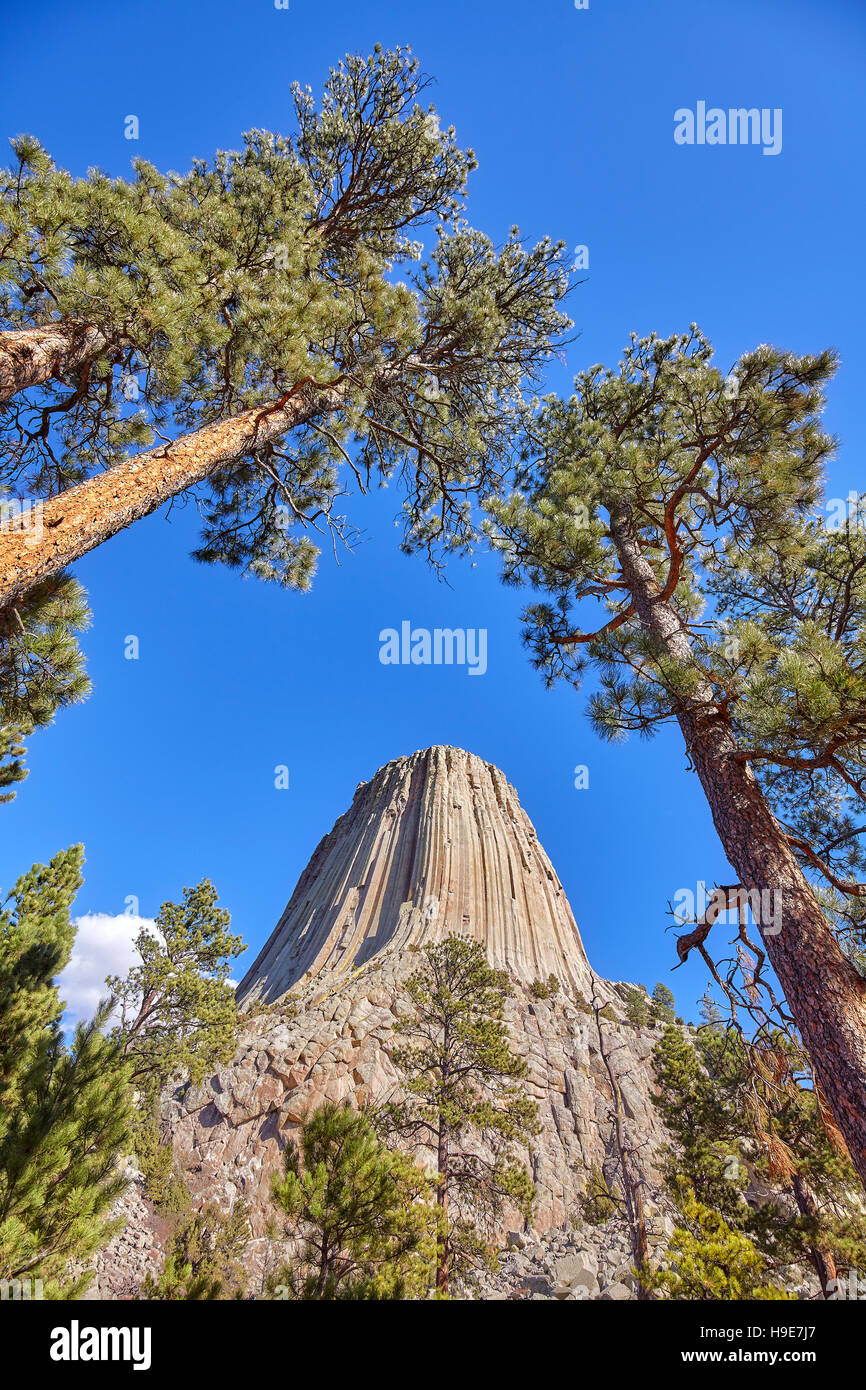 Devils Tower, bestehend aus einer Laccolith Butte Eruptivgestein in den Bear Lodge Bergen, Top-Attraktion in Wyoming State, USA. Stockfoto