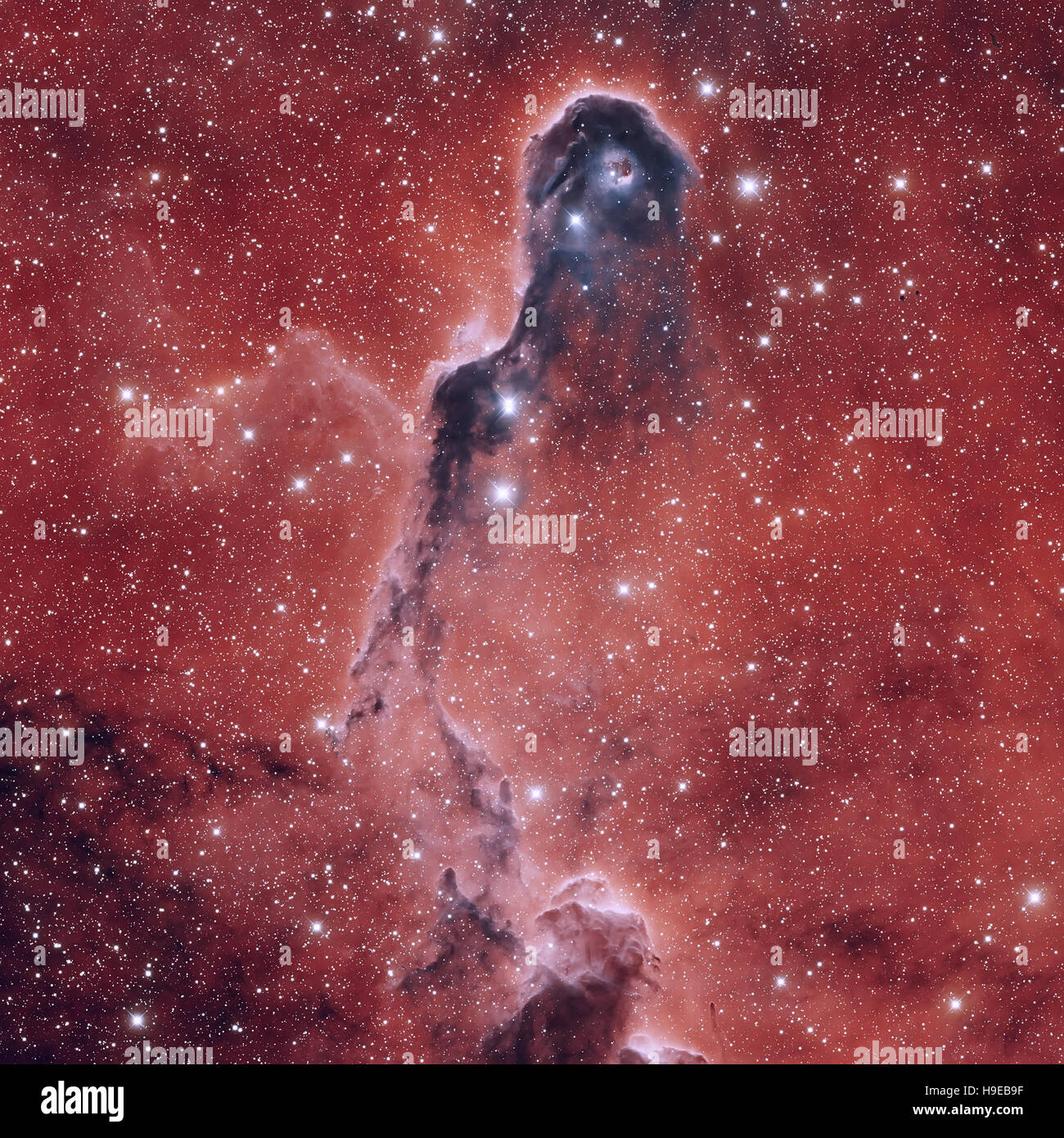 Astronomische wissenschaftlichen Hintergrund, Nebel und Sterne im Weltall. Stockfoto