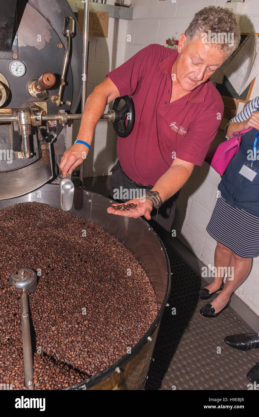 Craig Kelly den Kopf Röster Betrieb die Röstmaschine bei Green Farm Kaffee in Rackheath, Norwich, Norfolk, England, Großbritannien, Uk Stockfoto