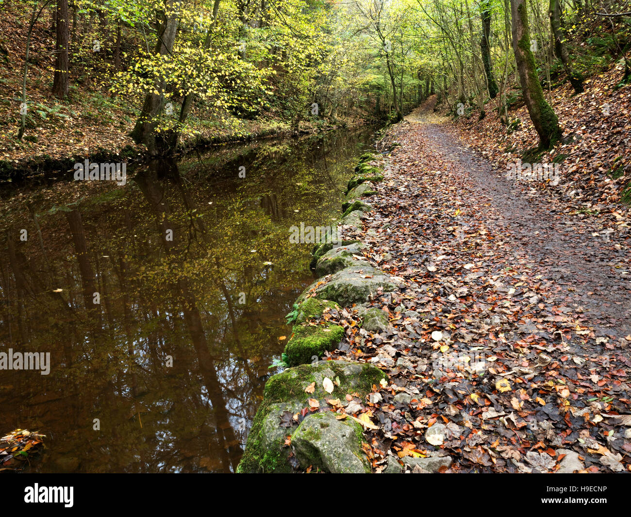 Fußweg von langen Damm in Skipton Schloß Wald im Herbst Skipton North Yorkshire England Stockfoto