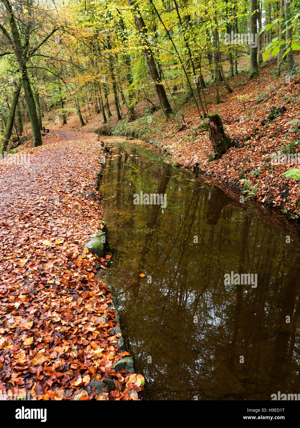 Skipton Schloß Wald im Herbst Skipton North Yorkshire England Stockfoto