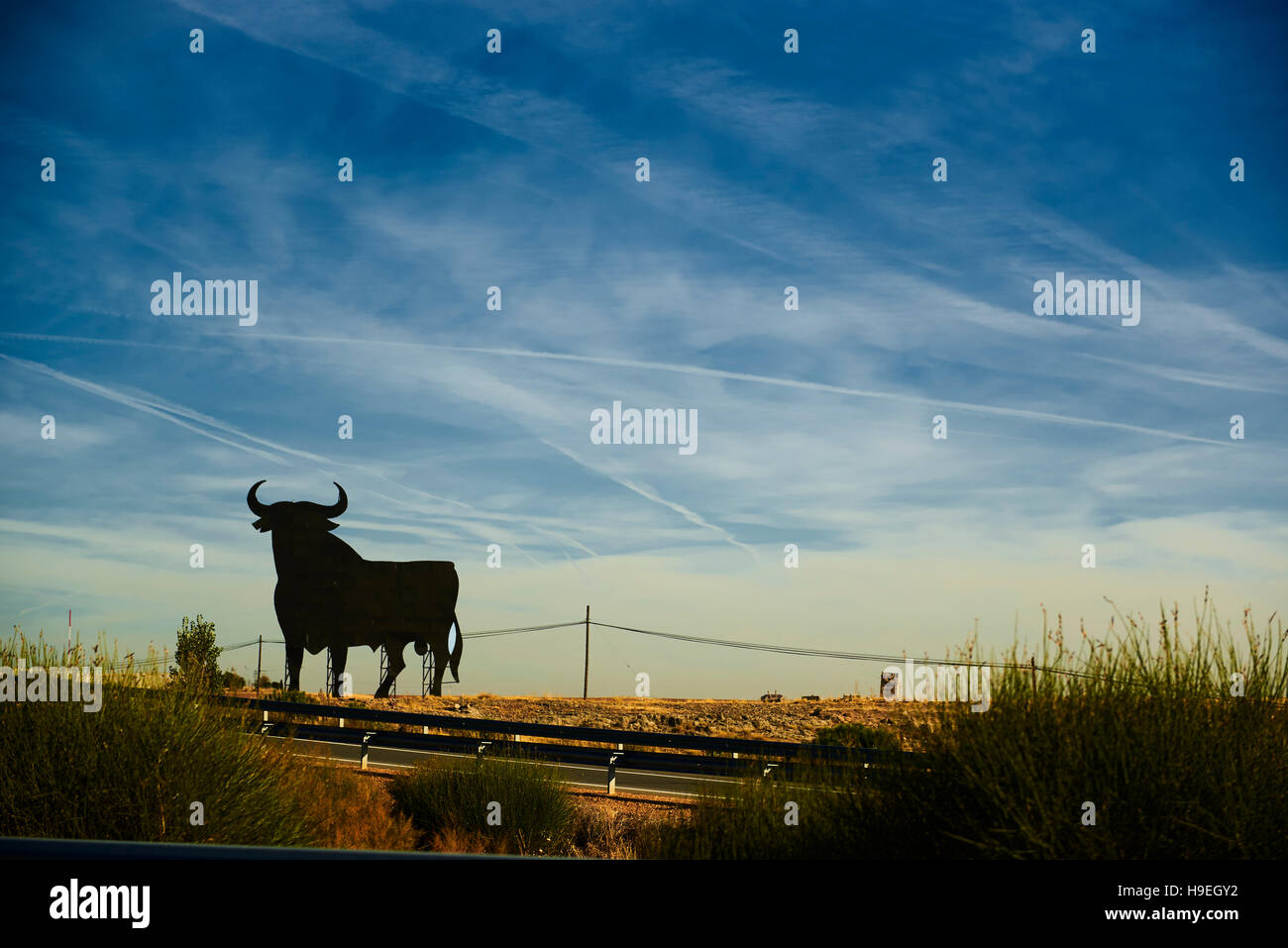 Bull-Silhouette, typisch spanischen Sherry Osborne Werbung Stockfoto