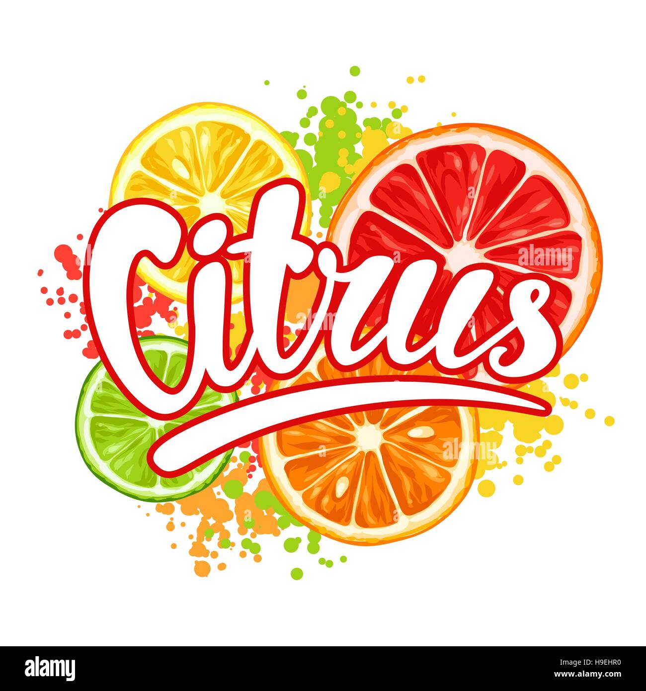 Drucken Sie mit Zitrusfrüchten Scheiben. Mischung aus Zitrone Limette Grapefruit und orange Stock Vektor