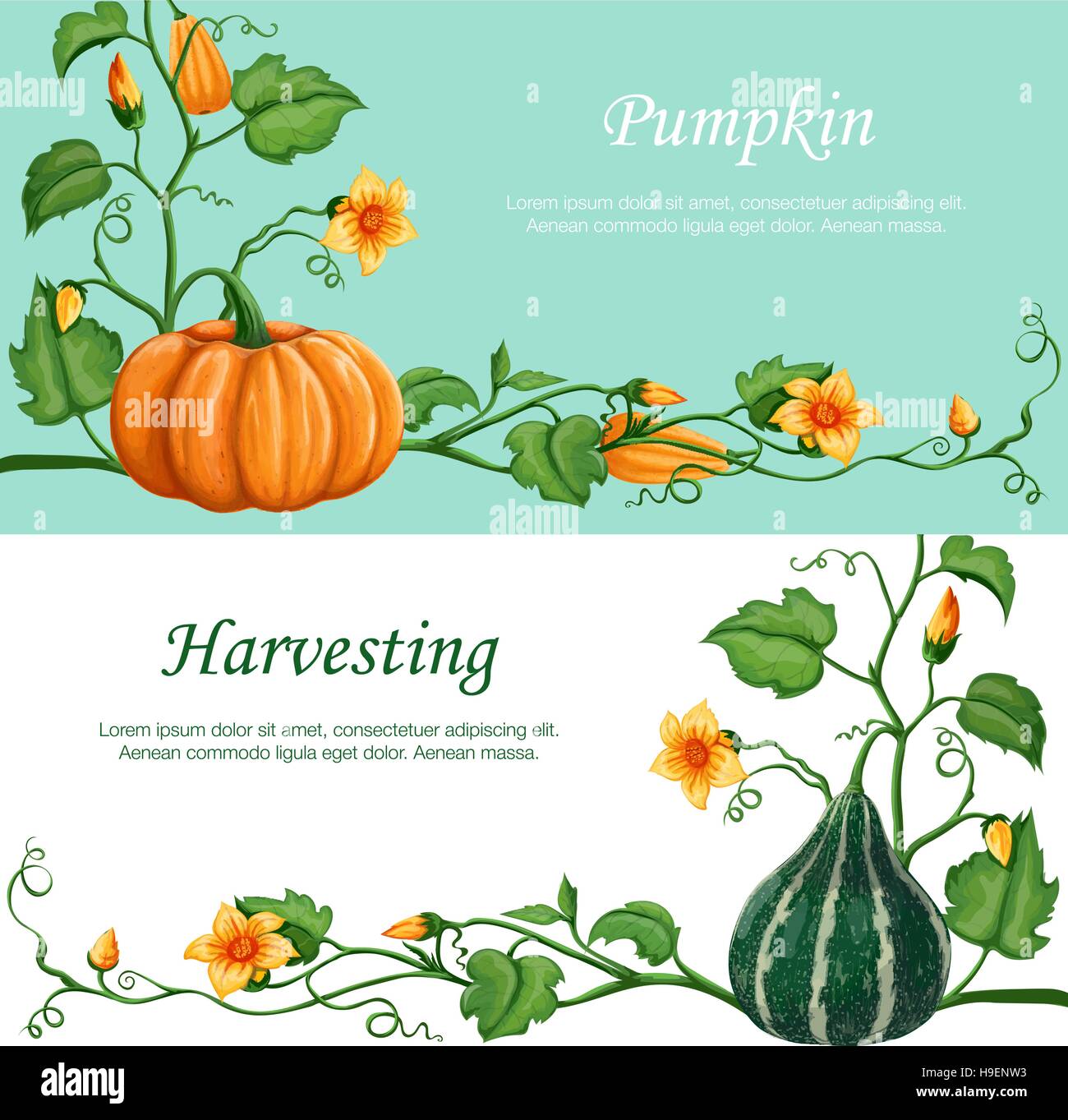 Ernte-Feier-Banner. Herbstfrüchte. Vektor-Illustration in einem realistischen Stil gemacht. Stock Vektor