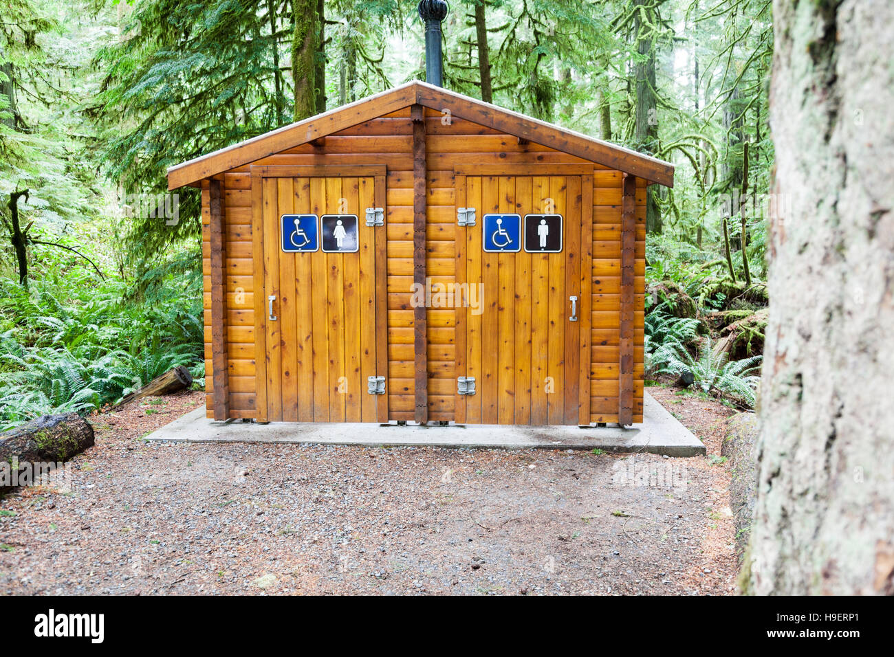 Ein Dropdown-Feld oder Outdoor-Toilette im Cathedral Grove, MacMillan Provincial Park, Vancouver Island, British Columbia, Kanada Stockfoto