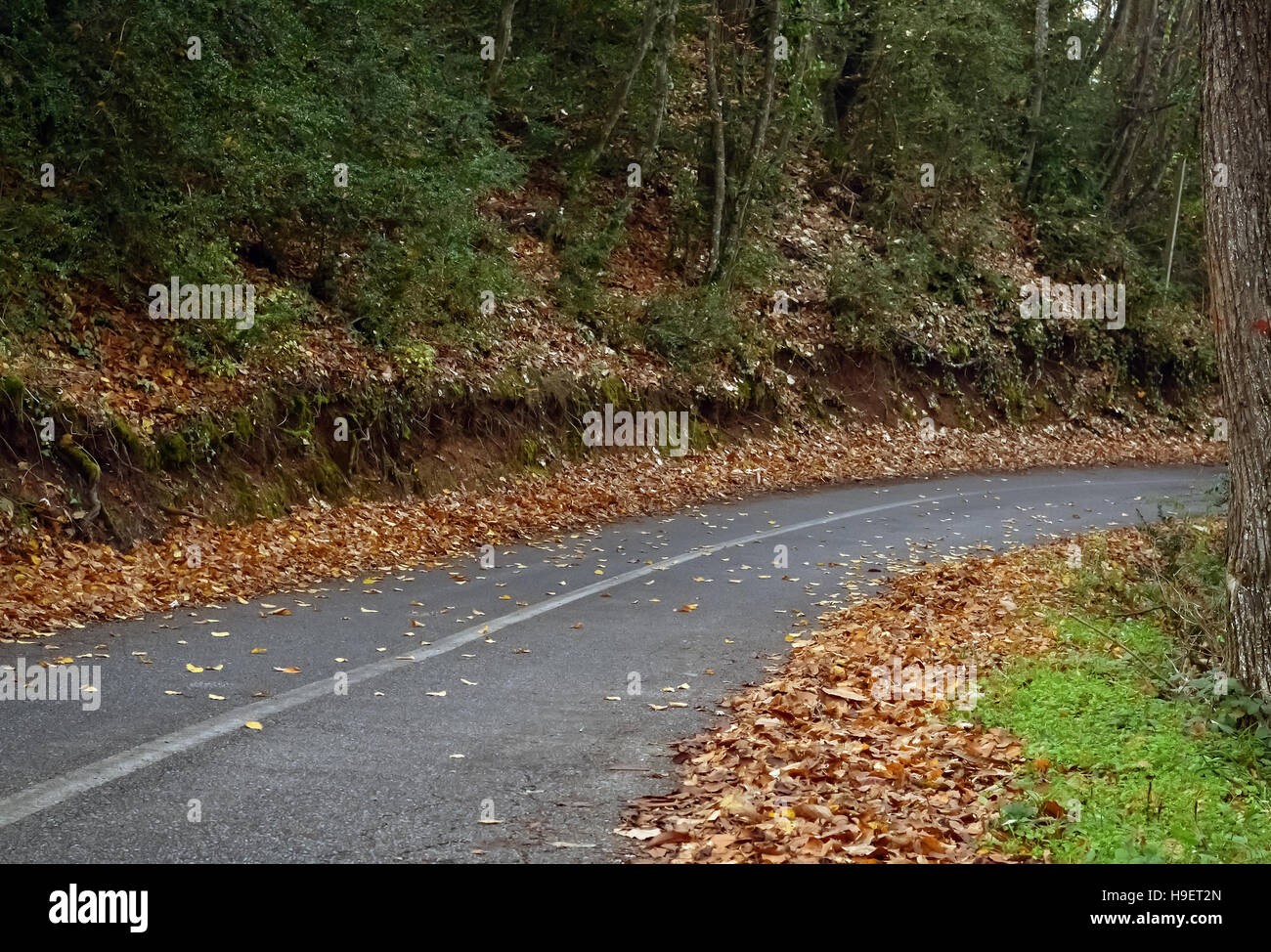 Asphalt Weg für Wanderer im wunderschönen Herbsttag Stockfoto