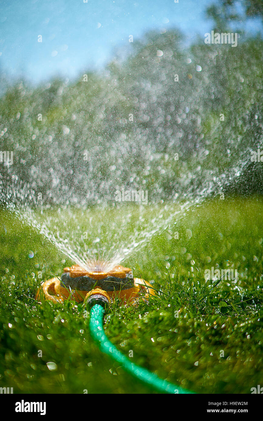 Ebene Oberflächenansicht von Garten Sprinkler sprühen Stockfoto