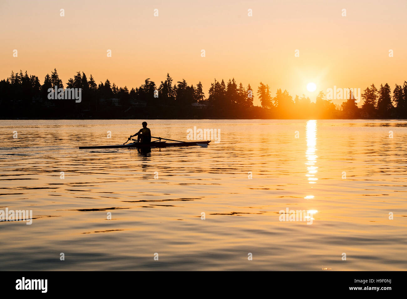 Silhouette des kaukasischen Mann Rudern bei Sonnenuntergang Stockfoto