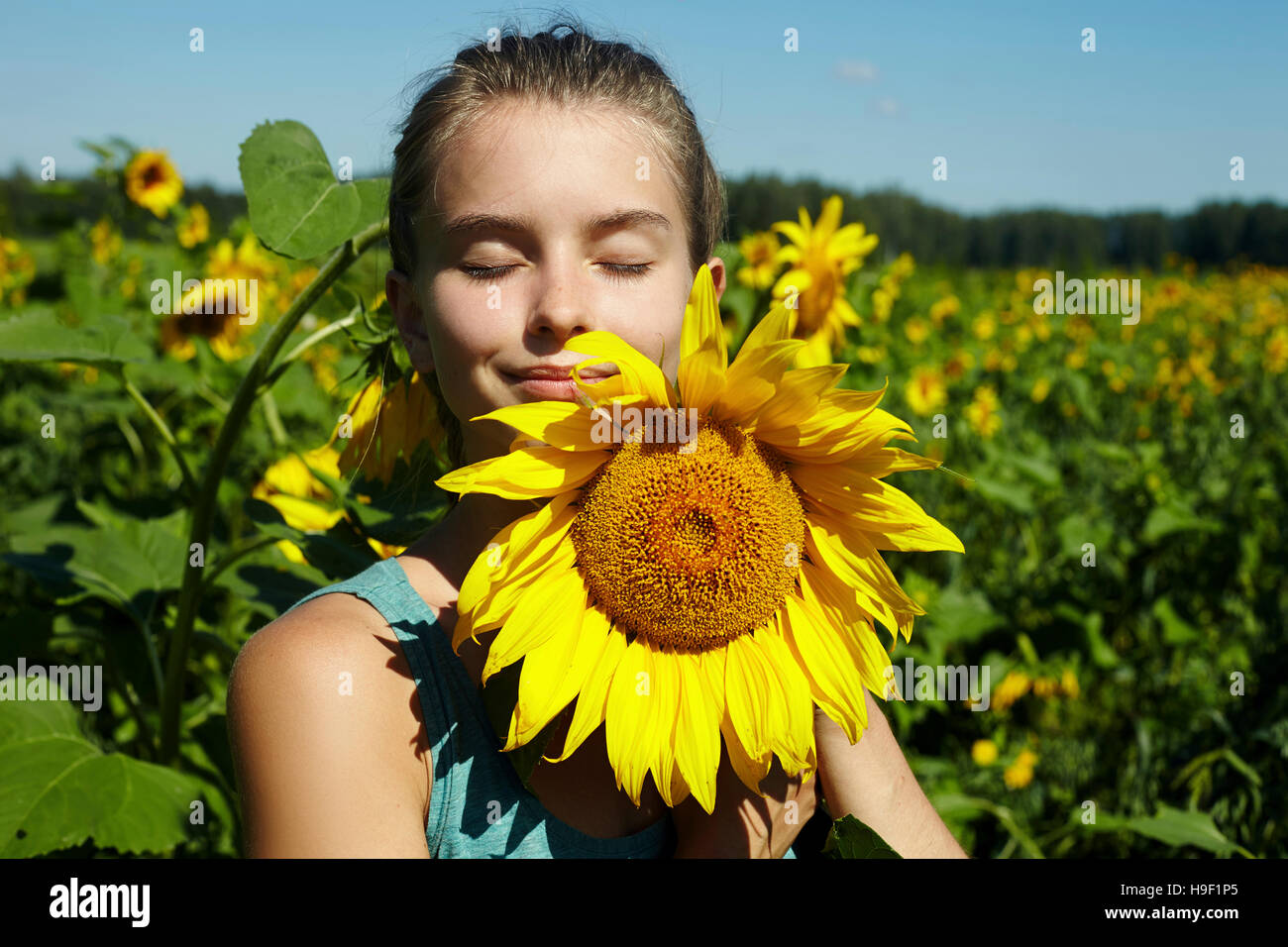Kaukasische Mädchen riechen Sonnenblumen im Feld Stockfoto