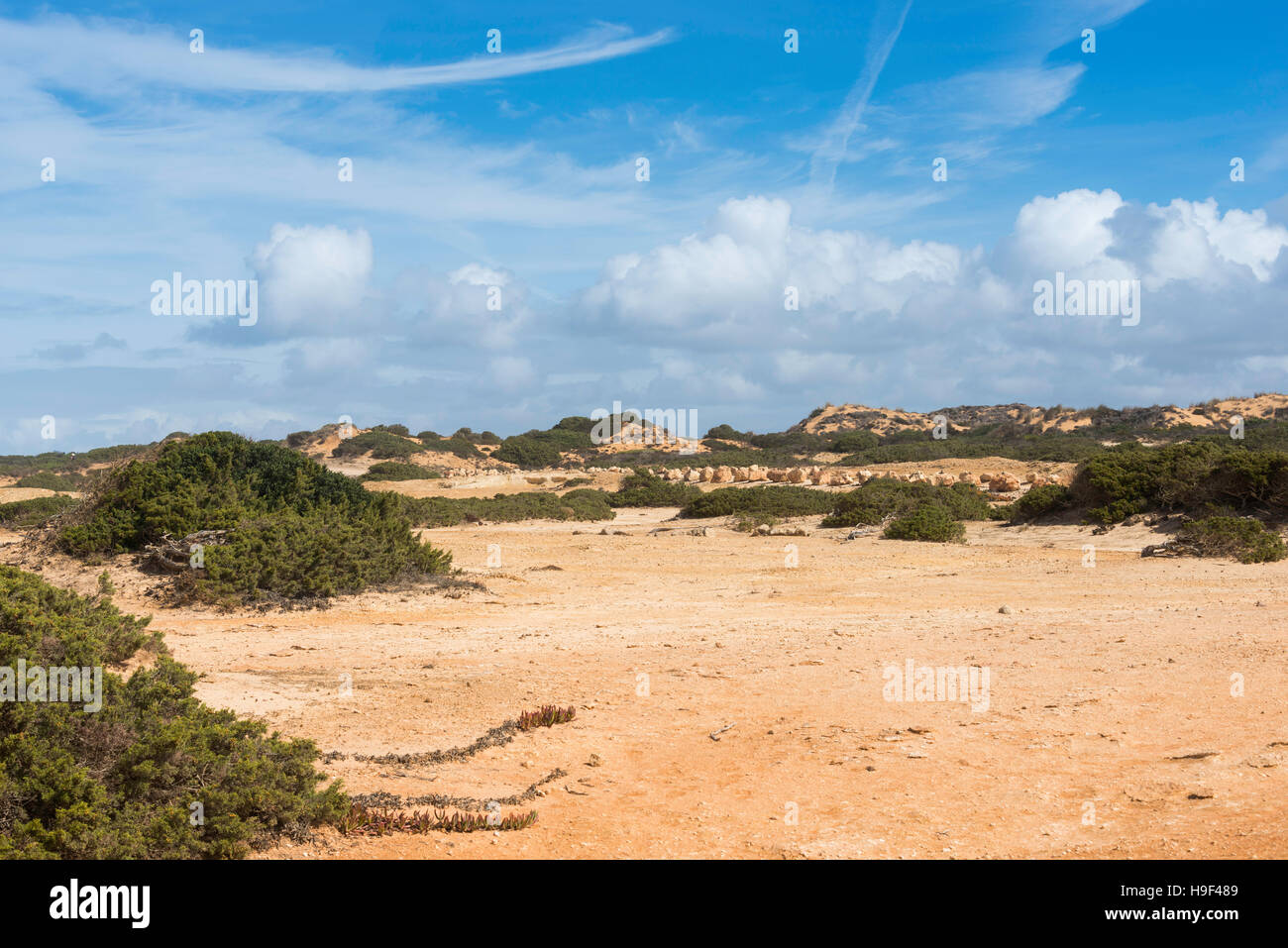 Landschaft in Portugal Alentejo Region mit trockenem Sand und grüne Pflanzen mit blauen Sommerhimmel Stockfoto