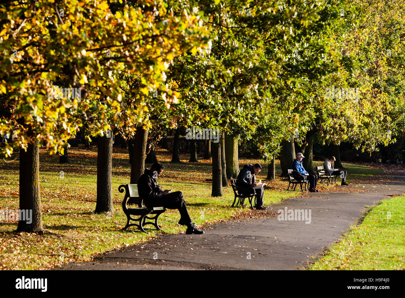 Ruhig sitzen auf den Bänken im Regents Park in London an einem herbstlichen Tag Stockfoto