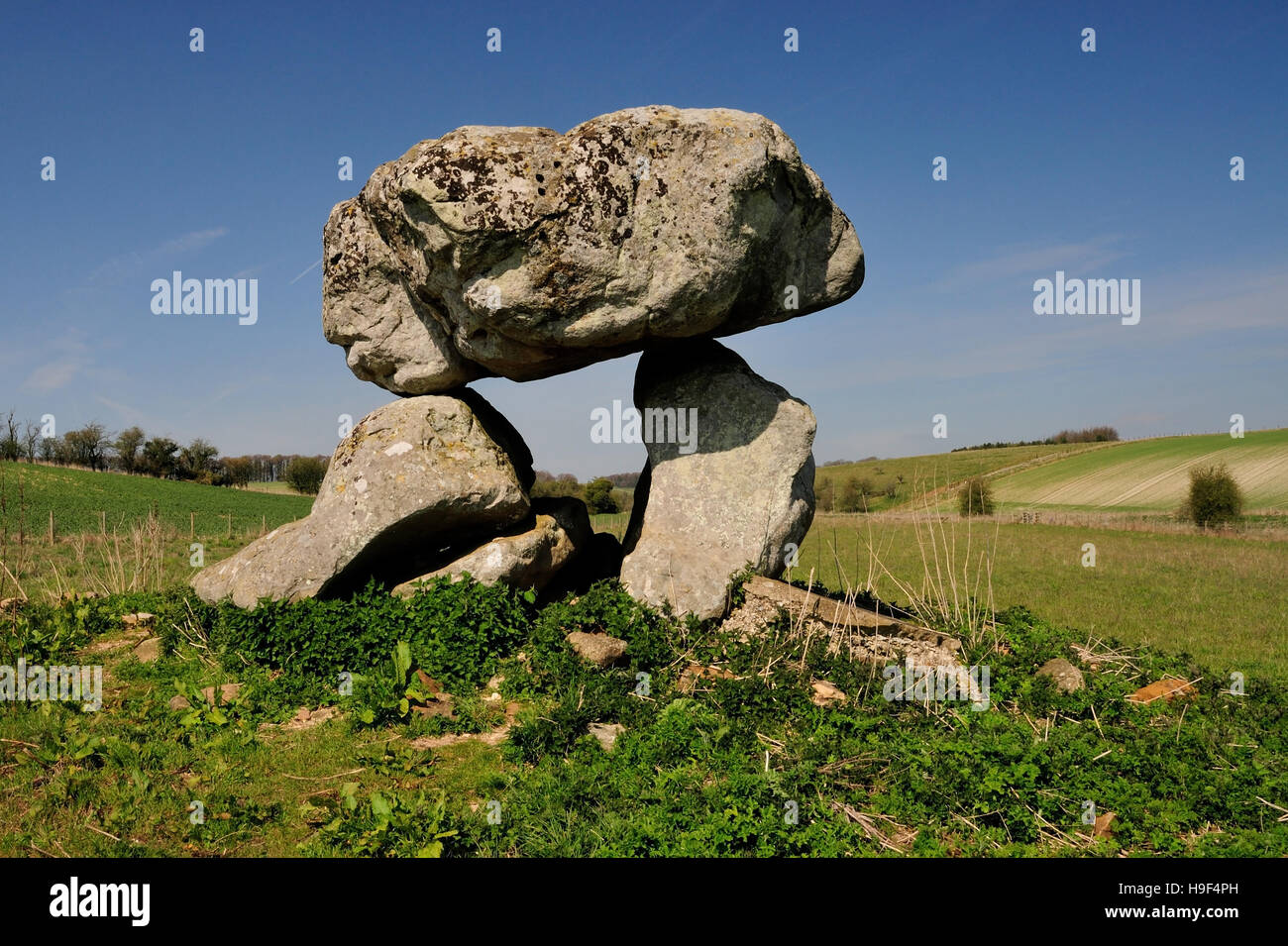 Des Teufels Höhle, die Reste von eine neolithische Grabkammer (oder Dolmen) auf Fyfield unten. Stockfoto