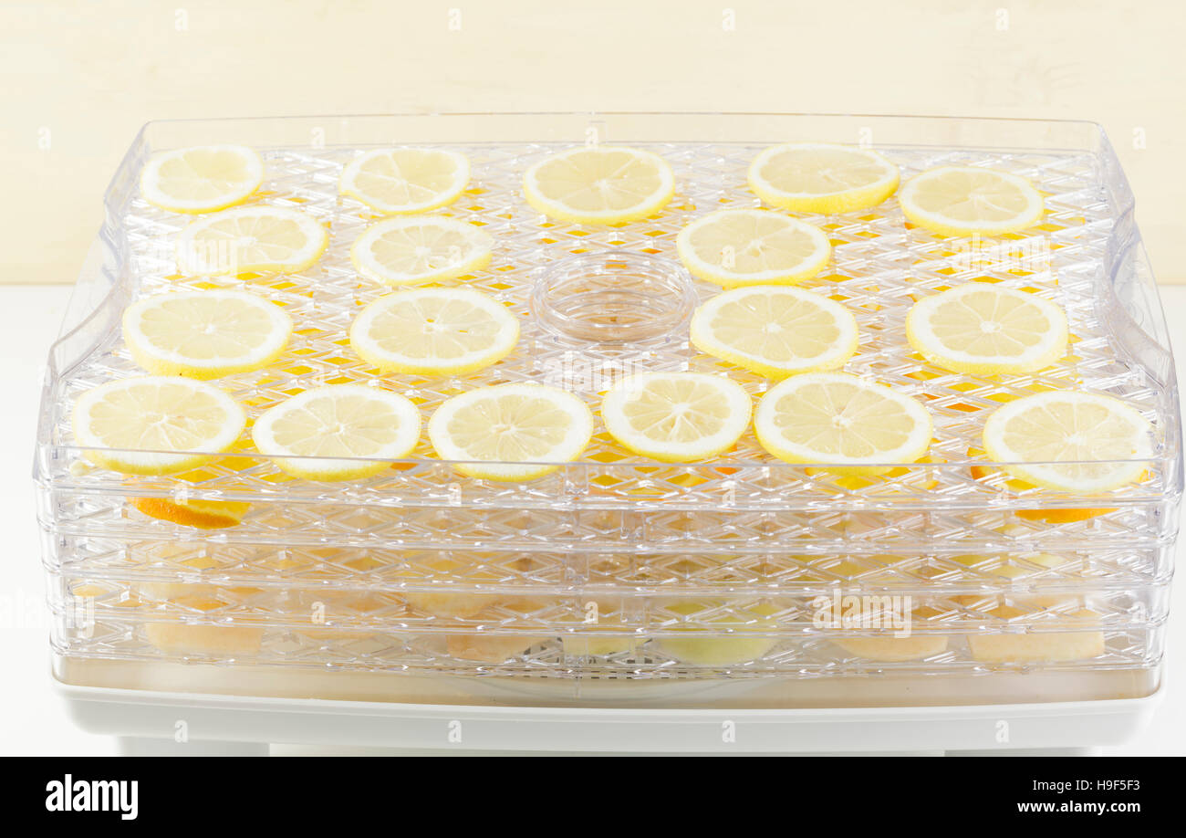 frische Zitronenscheiben in einem Dörrgerät Stockfoto
