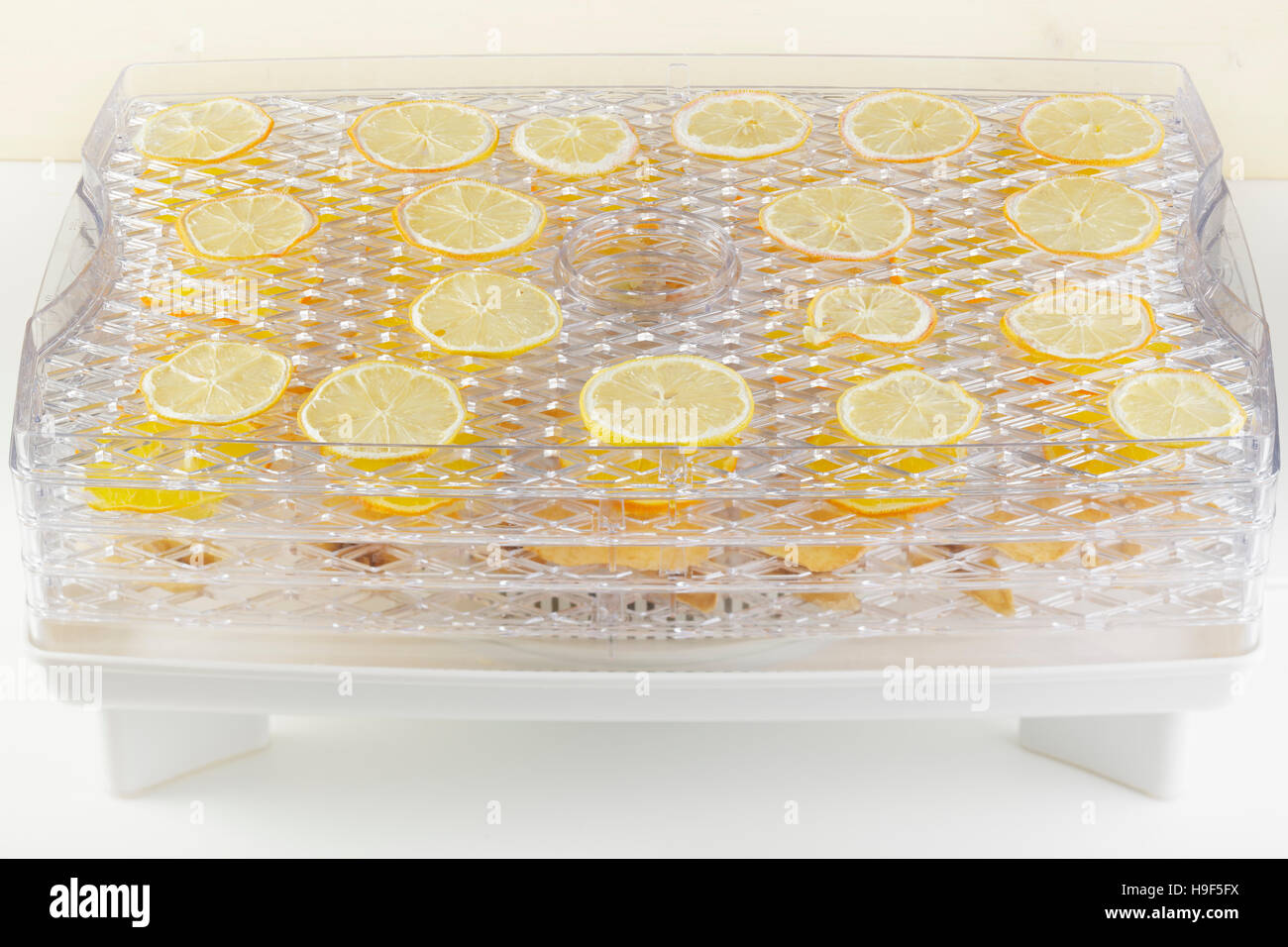 Zitronenscheiben in einem Dörrgerät trocknen Stockfoto