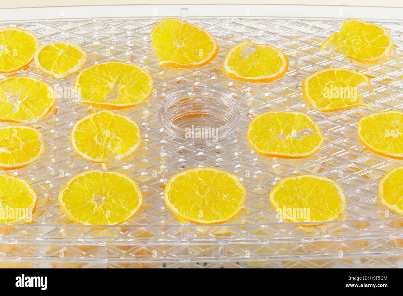 Orangenscheiben in einem Dörrgerät trocknen Stockfoto