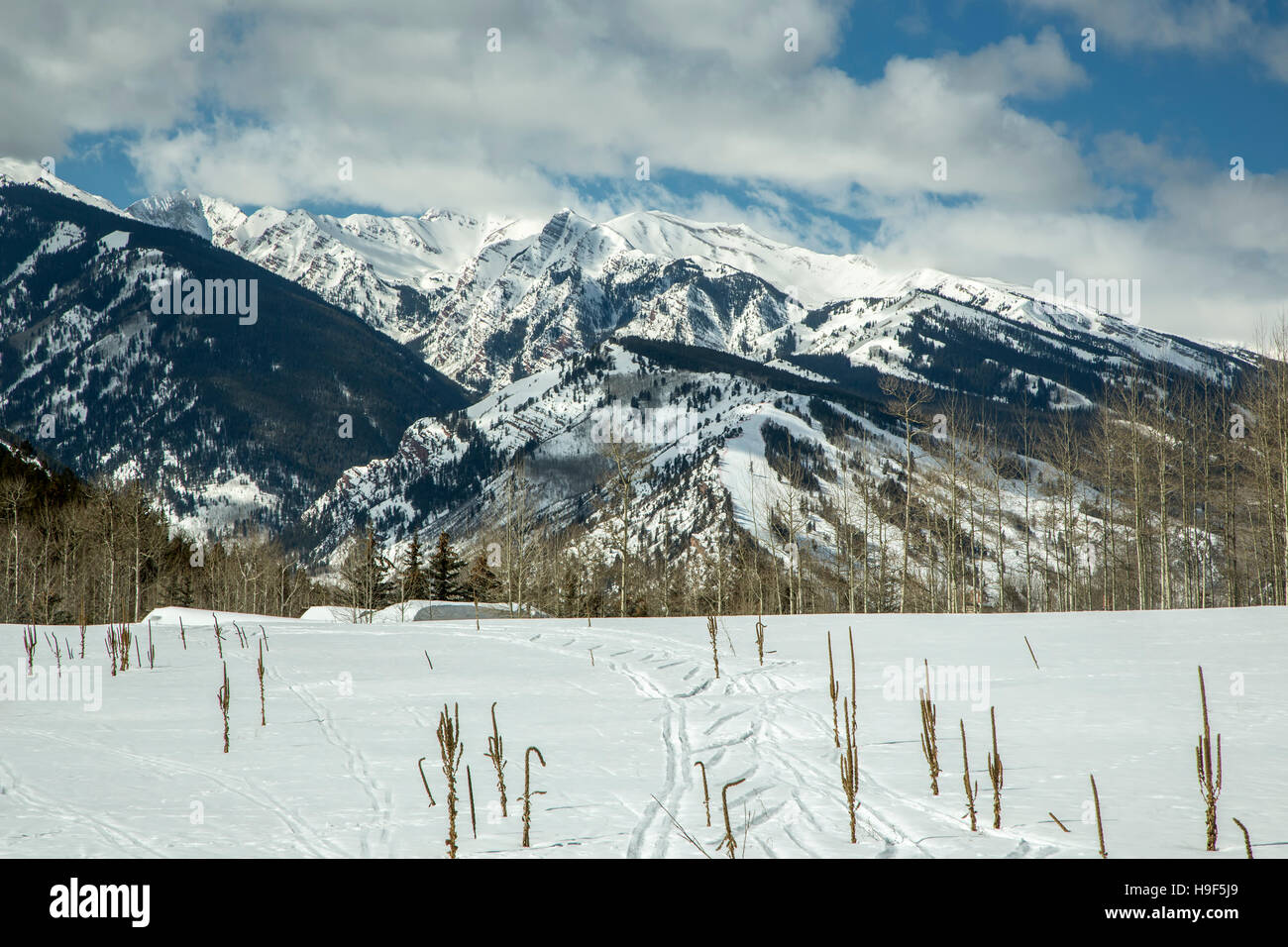 Loipen auf Schnee, Schnee-bedeckten Bergen im Hintergrund, Trail, Benedikt Hütten in der Nähe von Aspen, Colorado USA Stockfoto