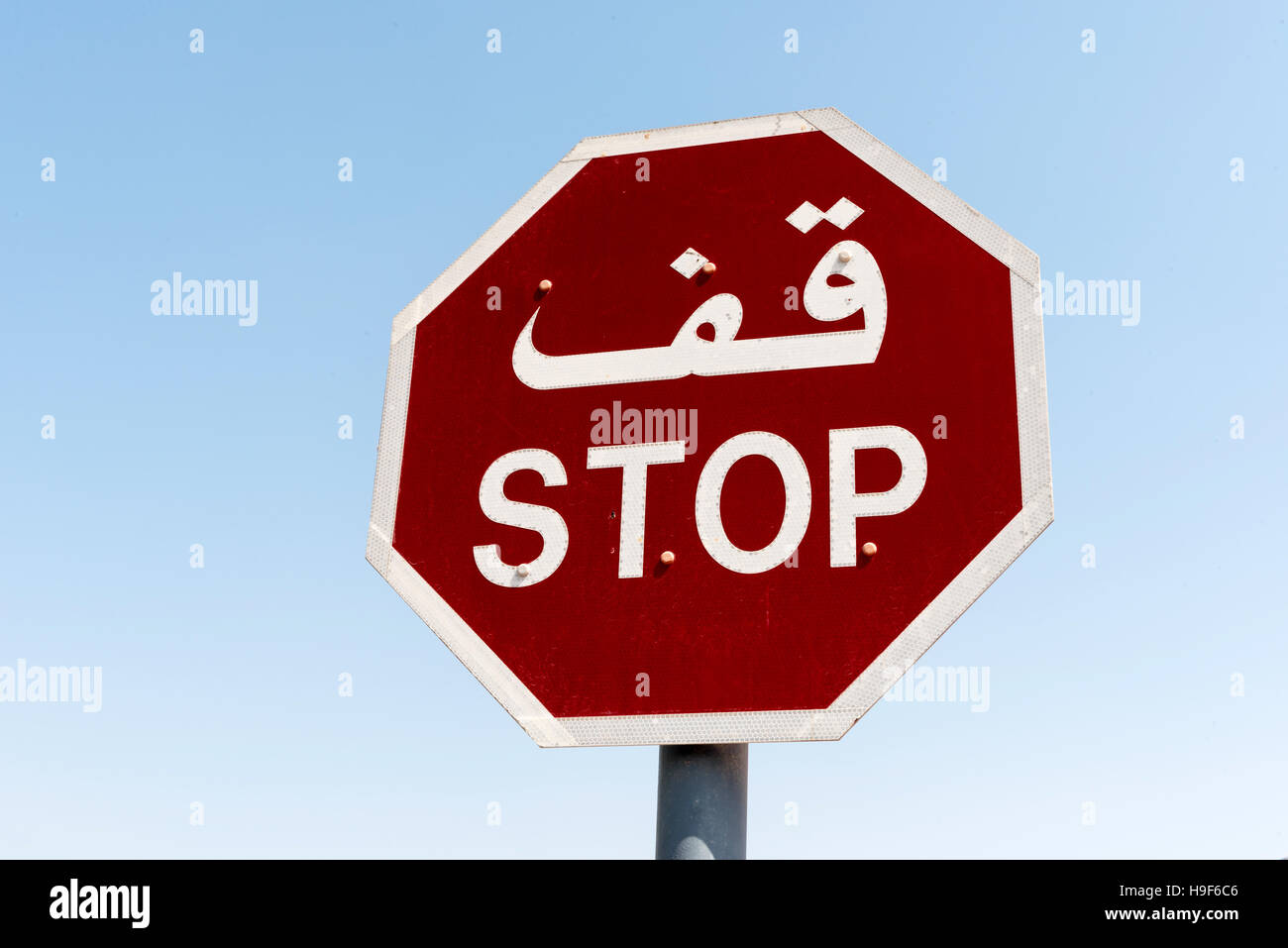 Rote Stoppschild auf Englisch und Arabisch Stockfoto