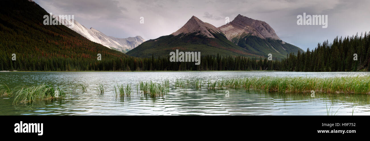 Beaver Lake Aussichtsberge Jasper Park Kanada Stockfoto