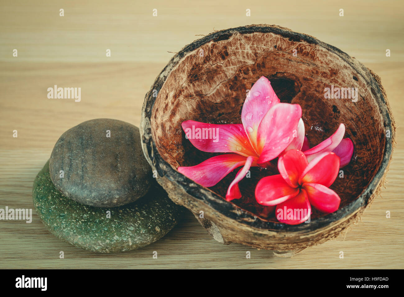Duftöl in der Kokosnussschale mit Spa-Steinen und frangipani Stockfoto