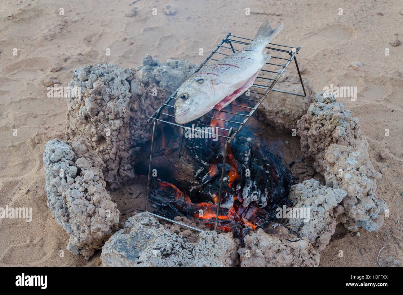 Fangfrischen Fisch gegrillt über offene Lagerfeuer, in der Wüste Stockfoto