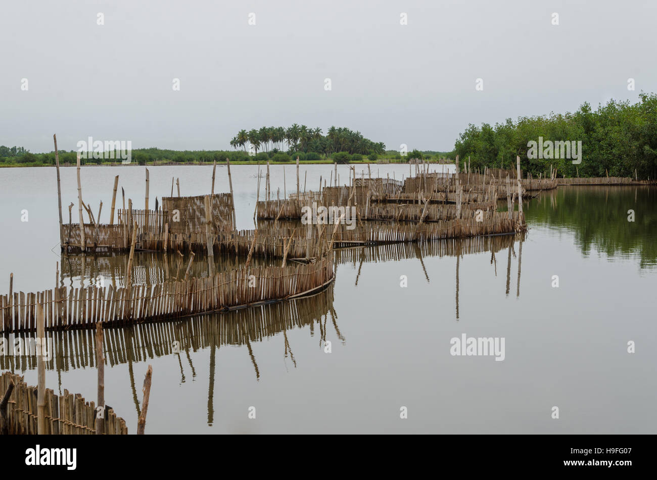 Traditionelle Reed Fischerei fallen in Feuchtgebieten in der Nähe der Küste in Benin. Stockfoto