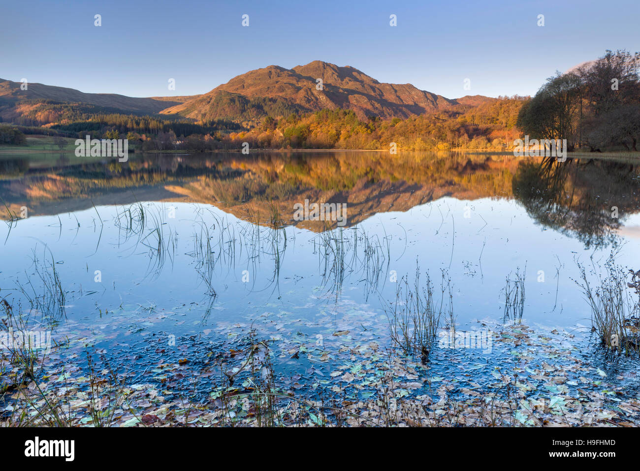 Ben Ort und Loch Achray, Trossachs, Schottland. Stockfoto