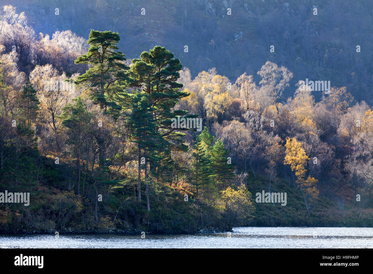 Loch Katrine, Aberfoyle, Stirling, Schottland Stockfoto