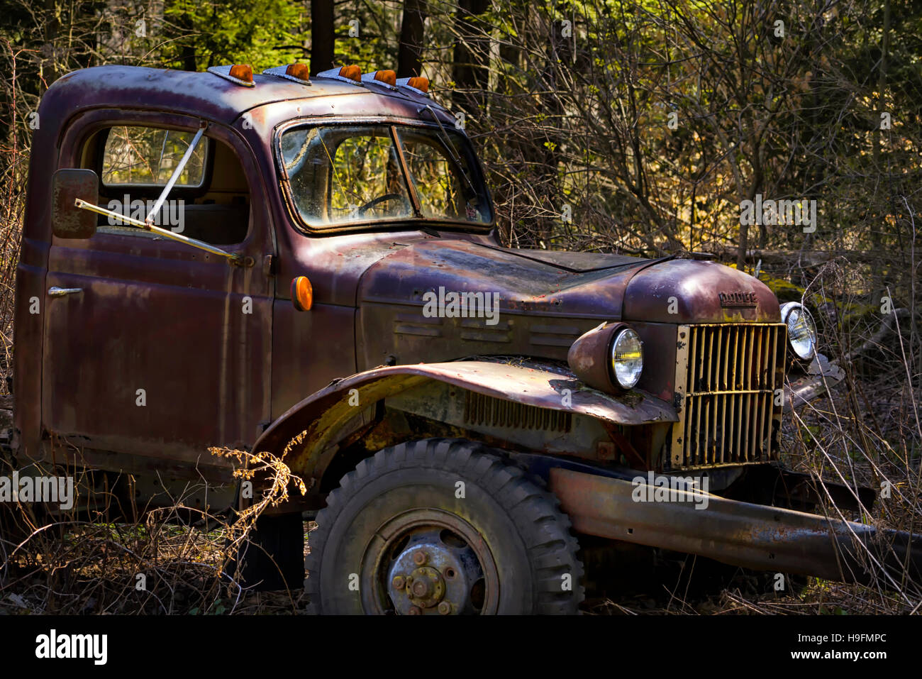 Alten 1952 Dodge Pickup-truck Stockfoto