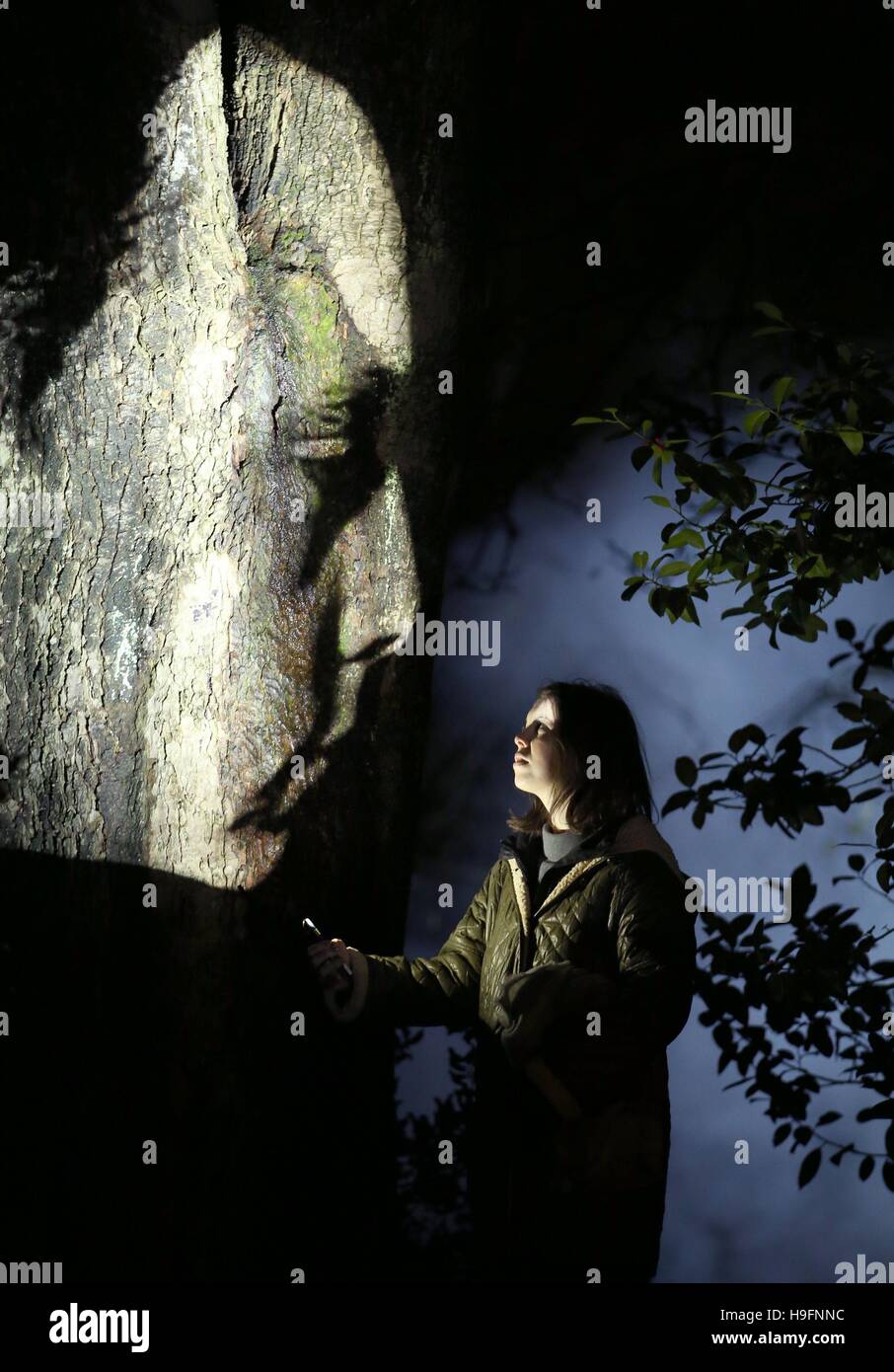 Licht und Nebel verwandeln Edinburghs George Square Gardens mit schattenhafte Figuren auf Bäume als Teil von "The Einfluss Machine", ein immersive Erlebnis im Freien Skulptur des amerikanischen Künstlers Tony Oursler projiziert. Stockfoto