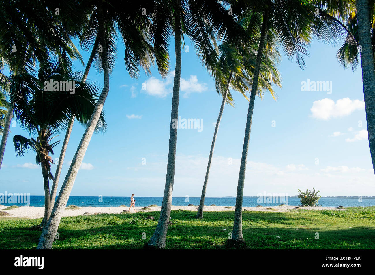 Eine Frau geht zwischen Palmen am Strand in Playa Larga, Kuba Stockfoto