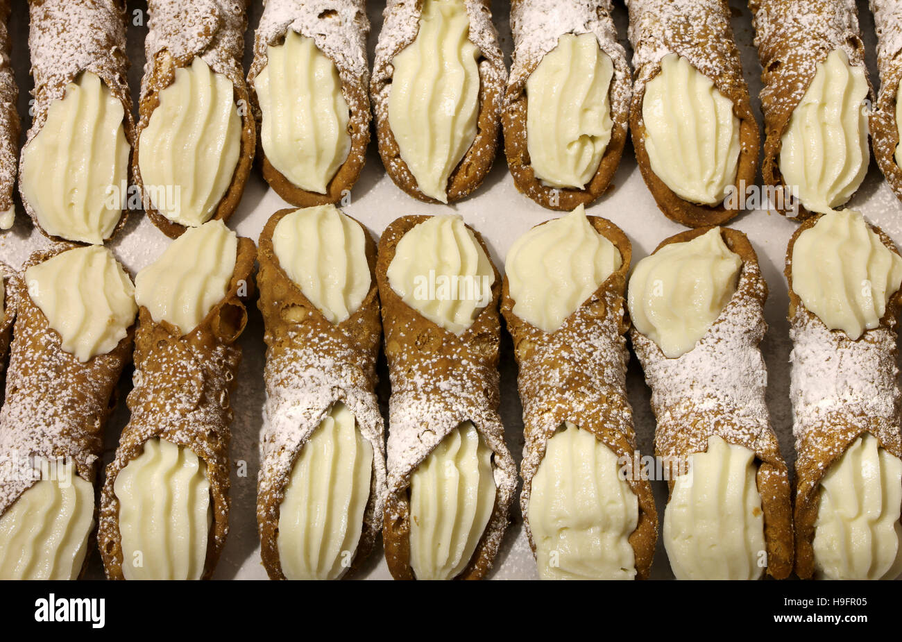 viele sizilianische Cannoli mit süßen Vanillepudding zum Verkauf in Bäckerei Stockfoto