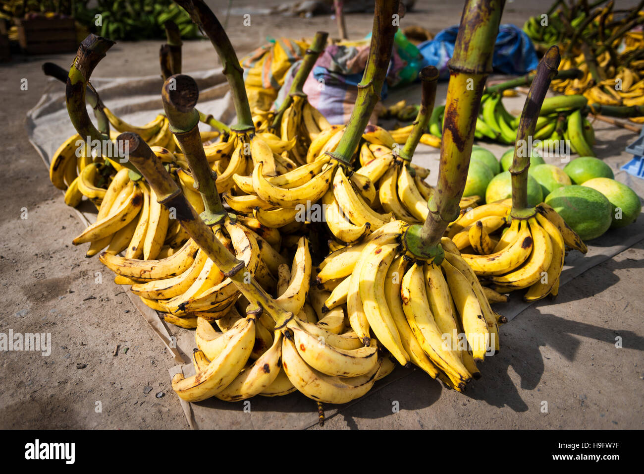 Bananen auf einem Markt in der Stadt Alausi in Ecuador, Südamerika Stockfoto