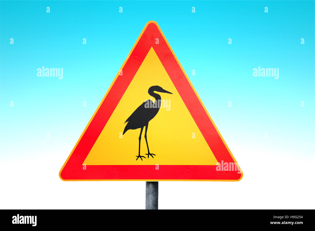 Aufmerksamkeit der Störche Verkehrszeichen vor blauem Himmelshintergrund. Stockfoto