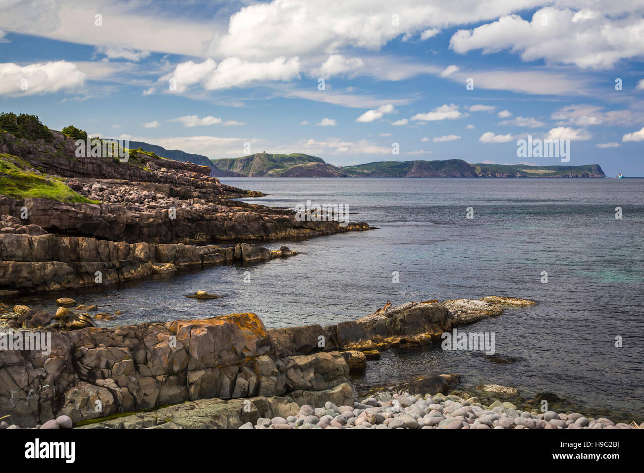 Die zerklüftete Küste in der Nähe von Cape Spear, Neufundland und Labrador, Kanada. Stockfoto