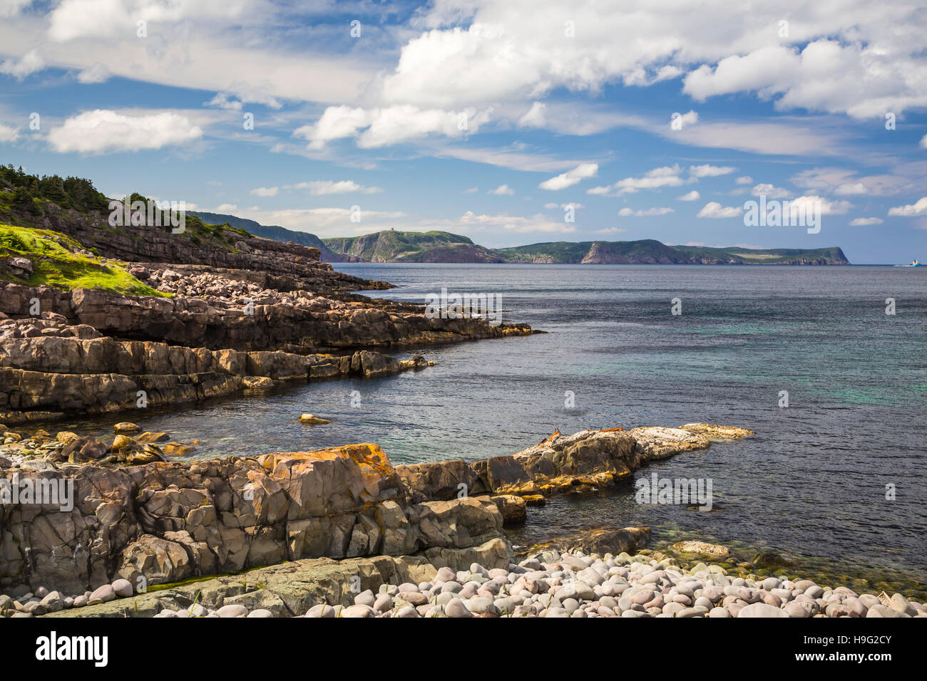 Die zerklüftete Küste in der Nähe von Cape Spear, Neufundland und Labrador, Kanada. Stockfoto