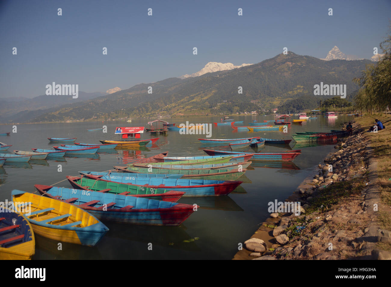 Freizeitboote auf Pokhara See (Phewa Tal) Nepal, Asien. Stockfoto