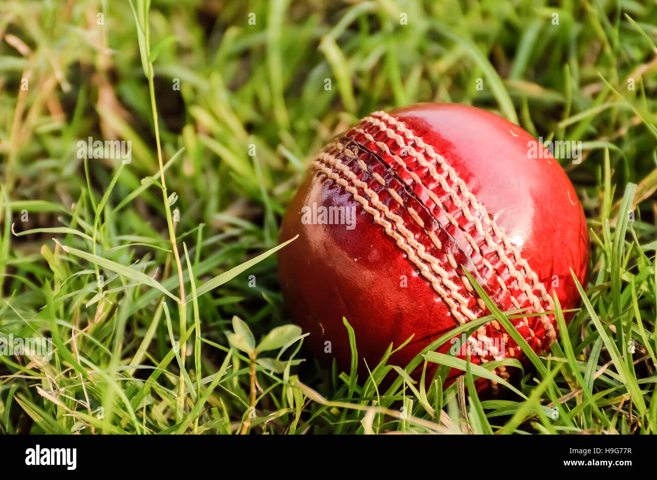 Rotem Leder Cricketball auf Rasen Stockfoto